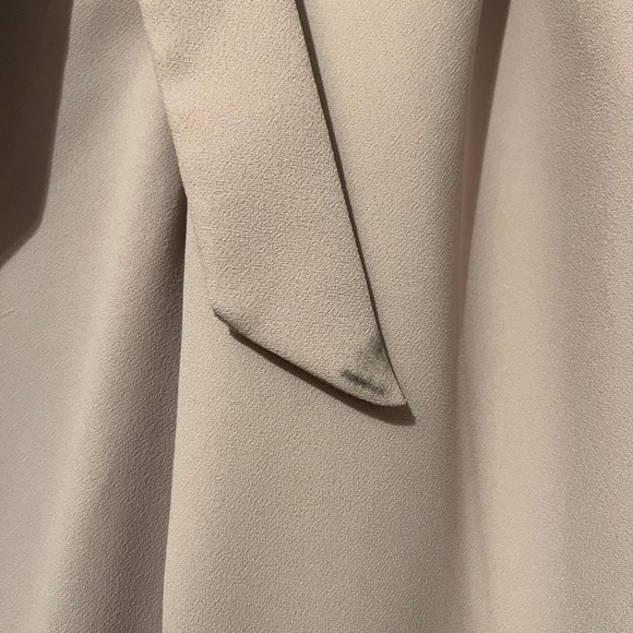 Express Ankle High Rise Pants - Picture 4 of 4